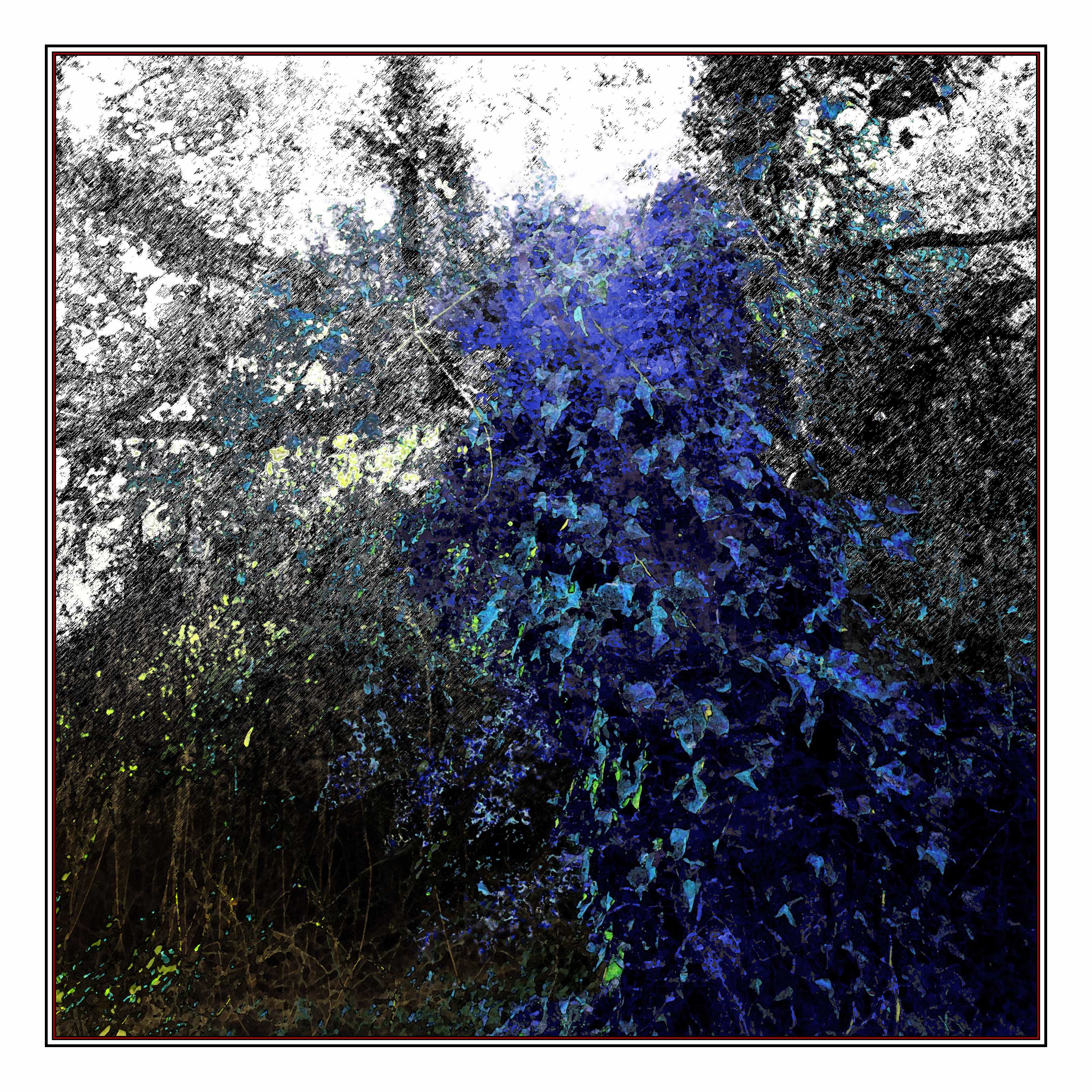 'colourFall' (IDM) for Brass Blackbird